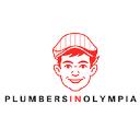 https://plumbersinolympia.com/ logo
